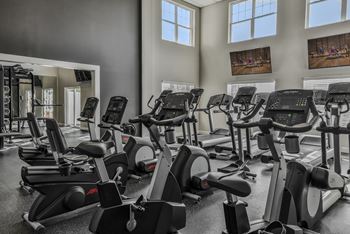 a gym with rows of exercise bikes and a wall of windows